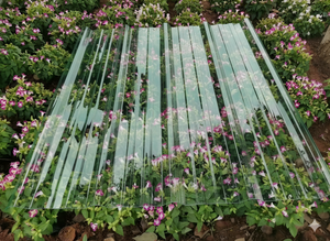 PC Corrugated Sheet （Green）
