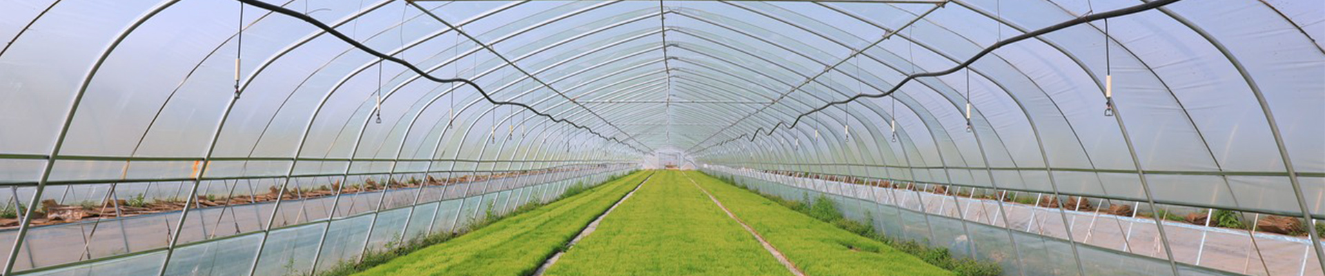 Hebei Metals roofing building materials