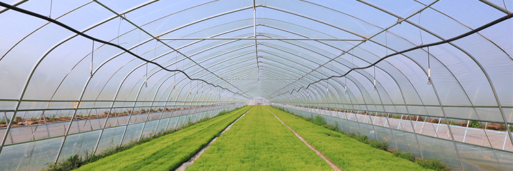 Hebei Metals roofing building materials