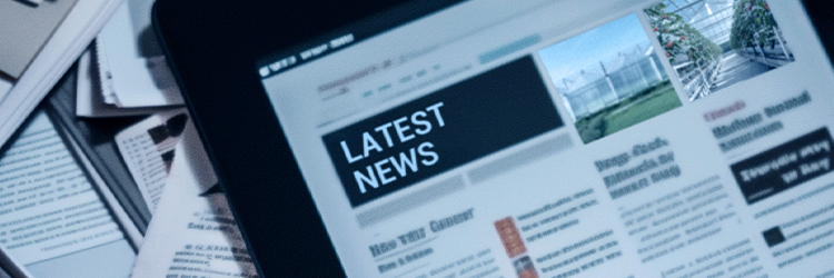 Hebei Metals News