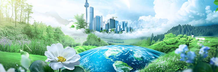 Sustainable development