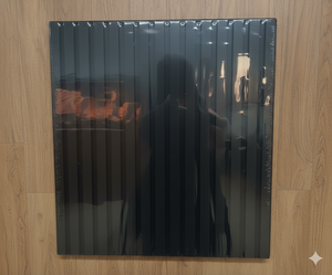 Acoustic Panel （Black）