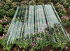 PC Corrugated Sheet （Transparent）