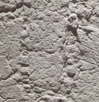//inrorwxhiqiqjr5q-static.micyjz.com/cloud/pnBpoKirjrSRmlininqmjq/Flexible-Stone.png